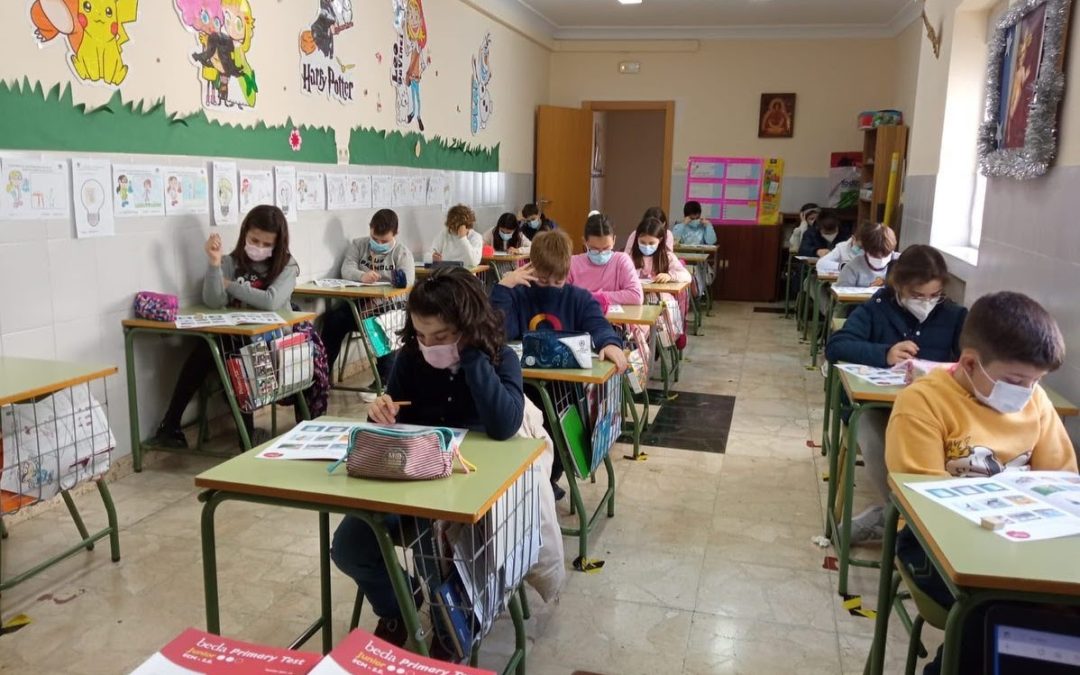 Mock exams BEDA BEGINNERS (JUNIOR & SENIOR)