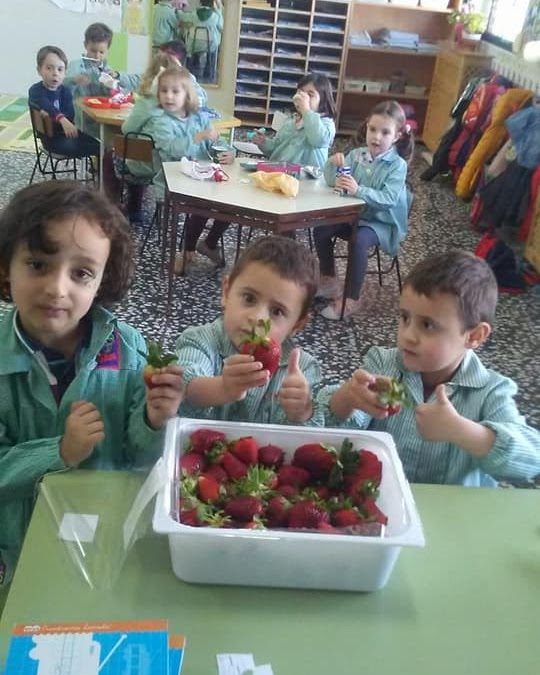 Reparto de fruta