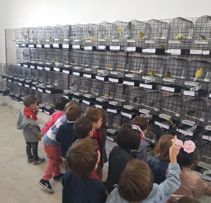 Asociación Ornitológica «La farola»