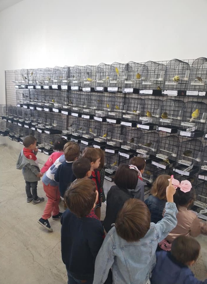 Asociación Ornitológica «La farola»