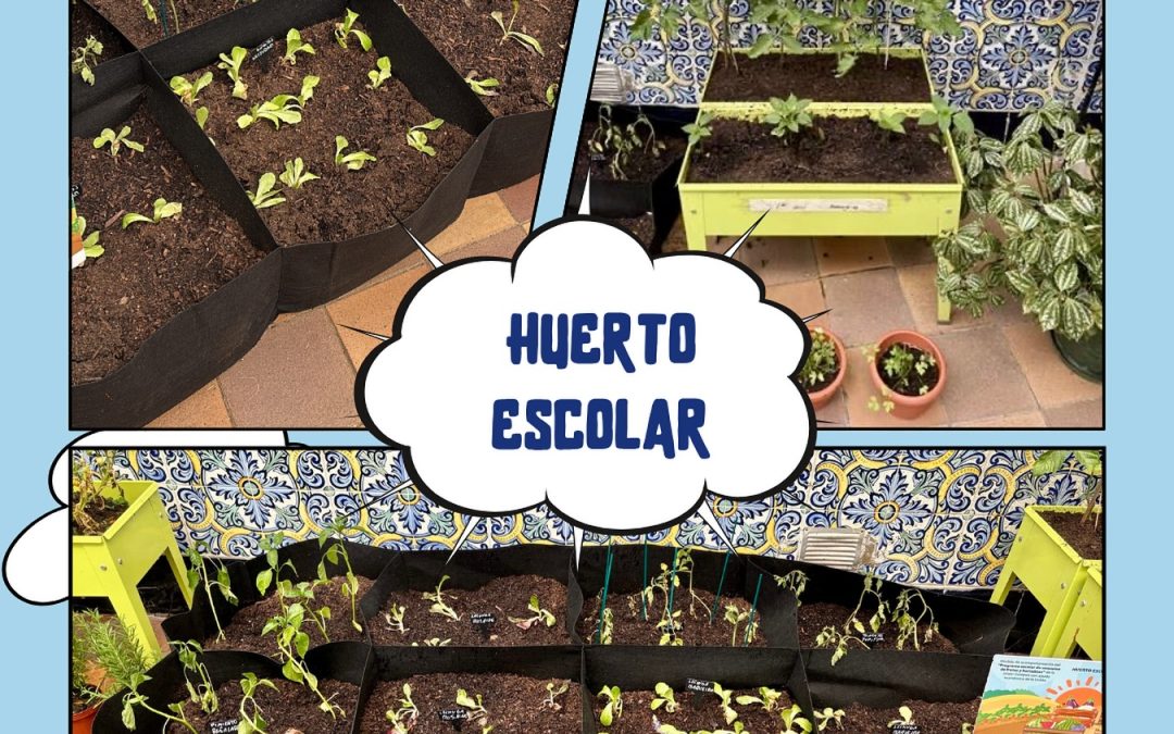 Huerto Escolar