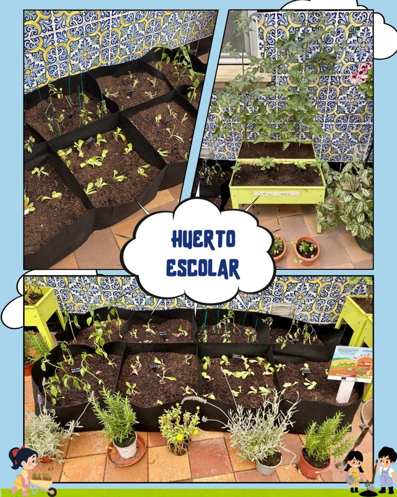 Huerto Escolar