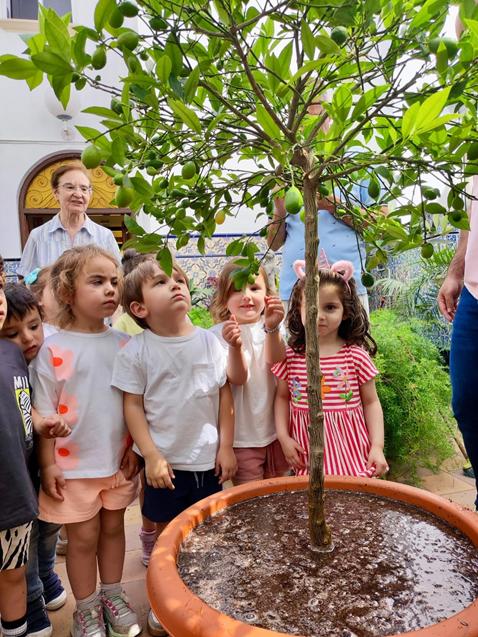 Día Mundial del Medio Ambiente