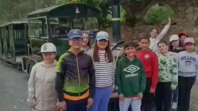 Excursión 2º Ciclo